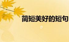 简短美好的短句(简短美句摘抄)