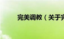 完美调教（关于完美调教的介绍）