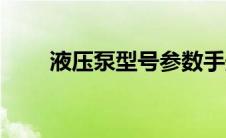 液压泵型号参数手册（液压泵型号）