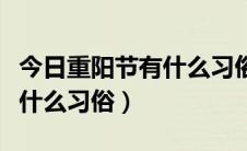 今日重阳节有什么习俗和什么古诗（重阳节有什么习俗）