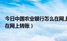今日中国农业银行怎么在网上换身份证（中国农业银行怎么在网上转账）