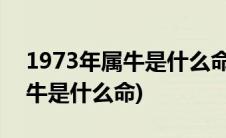 1973年属牛是什么命五行属什么(1973年属牛是什么命)