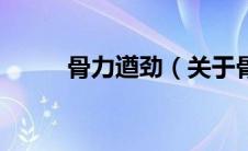 骨力遒劲（关于骨力遒劲的介绍）