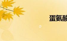 蛋氨酸价格