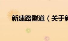 新建路隧道（关于新建路隧道的介绍）