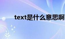 text是什么意思啊(text是什么意思)
