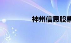 神州信息股票(神州11号)