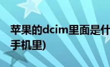 苹果的dcim里面是什么(DCIM是什么意思在手机里)