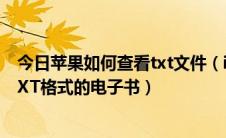 今日苹果如何查看txt文件（iphone如何看txt小说如何看TXT格式的电子书）