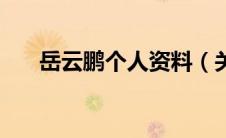 岳云鹏个人资料（关于岳云鹏的简介）