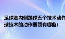 足球脚内侧踢球五个技术动作环节的动作要领(足球脚内侧踢球技术的动作要领有哪些)
