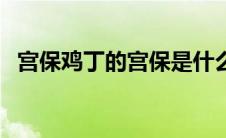 宫保鸡丁的宫保是什么意思（宫保的含义）