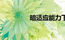 暗适应能力下降(暗适应)
