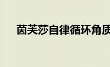 茵芙莎自律循环角质清理液（ipa文件）