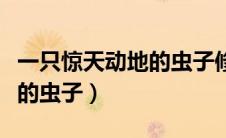 一只惊天动地的虫子修辞手法（一只惊天动地的虫子）