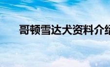 哥顿雪达犬资料介绍（又叫什么名字）