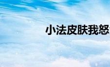 小法皮肤我怒角(小法皮肤)