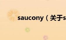 saucony（关于saucony的介绍）