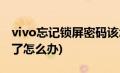 vivo忘记锁屏密码该怎么办(vivo锁屏密码忘了怎么办)