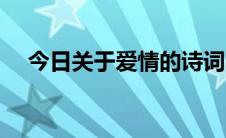 今日关于爱情的诗词（关于爱情的诗词）