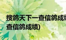 搜鸽天下一查信鸽成绩0829910(搜鸽天下一查信鸽成绩)