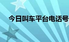 今日叫车平台电话号（叫车平台有哪些）