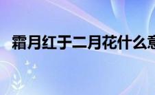 霜月红于二月花什么意思（这首是谁的诗）