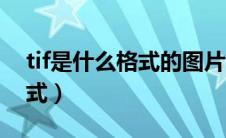 tif是什么格式的图片如何拆分（tif是什么格式）