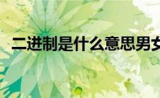 二进制是什么意思男女(二进制是什么意思)