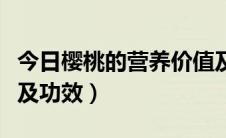 今日樱桃的营养价值及功效（樱桃的营养价值及功效）