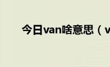 今日van啥意思（van样是什么意思）