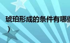 琥珀形成的条件有哪些（琥珀形成的条件介绍）