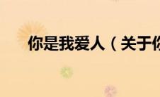 你是我爱人（关于你是我爱人的介绍）