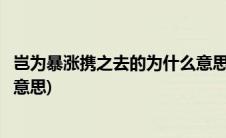 岂为暴涨携之去的为什么意思(岂能为暴涨携之去的之是什么意思)