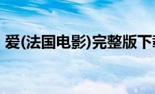 爱(法国电影)完整版下载(爱电影法国未删减)