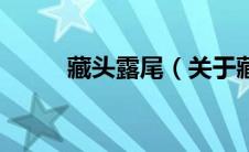藏头露尾（关于藏头露尾的介绍）