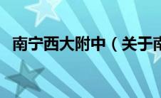 南宁西大附中（关于南宁西大附中的介绍）