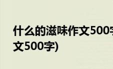 什么的滋味作文500字五年级(什么的滋味作文500字)