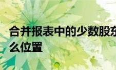 合并报表中的少数股东权益放在单体报表中什么位置