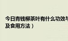 今日青钱柳茶叶有什么功效与作用（青钱柳茶的功效与作用及食用方法）