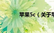 苹果5c（关于苹果5c的介绍）