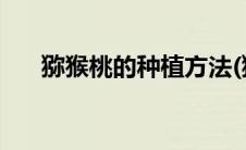 猕猴桃的种植方法(猕猴桃的种植方法)