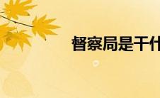 督察局是干什么的(督察j)