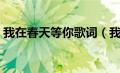 我在春天等你歌词（我在春天等你歌词原文）