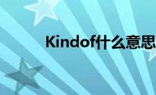 Kindof什么意思（Kind的含义）