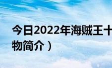 今日2022年海贼王十大顶级人物（海贼王人物简介）