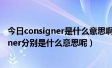 今日consigner是什么意思啊（外贸中consignee和consigner分别是什么意思呢）