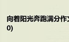向着阳光奔跑满分作文(向着阳光奔跑作文600)