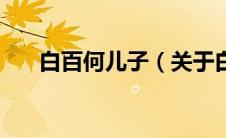 白百何儿子（关于白百何儿子的介绍）