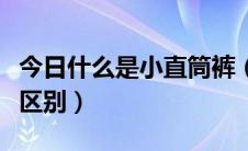 今日什么是小直筒裤（直筒裤小直筒裤有什么区别）